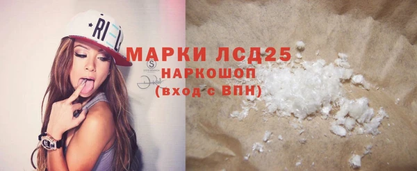 стаф Алзамай