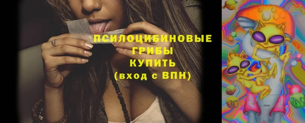 стаф Алзамай