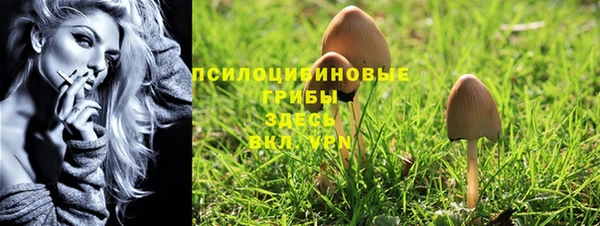 ешки Алексин