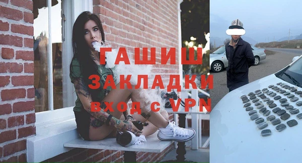 стаф Алзамай