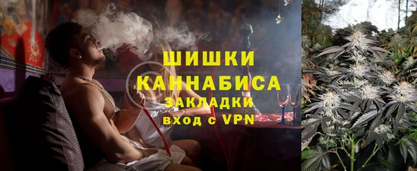 стаф Алзамай